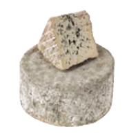 �u���[ �h�D ���[ �h���W�F